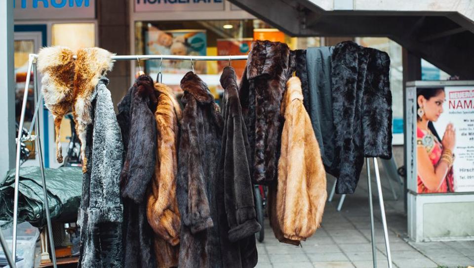 Fashion labels turn to fox fur as mink supply dwindles post COVID-19 cull