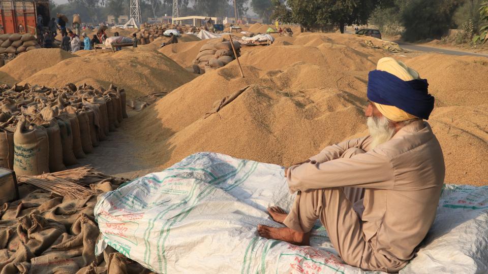 In Punjab, the centrality of the mandi system - Hindustan Times
