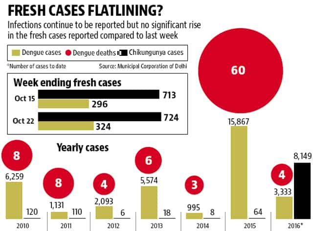 No Fresh Spike In Dengue, Chikungunya Cases In Delhi | Latest News ...