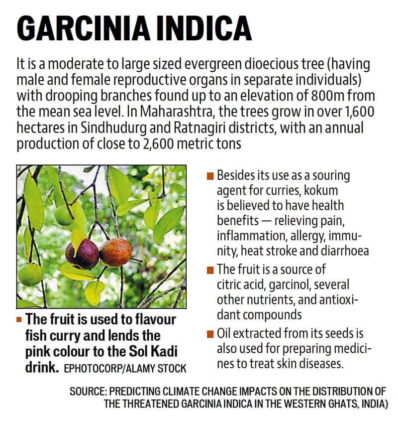 Article image Article image