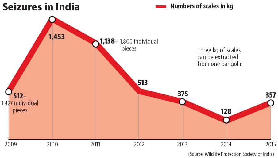 How China turned India into a hub for poaching of endangered mammal ...