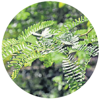 Article image Article image