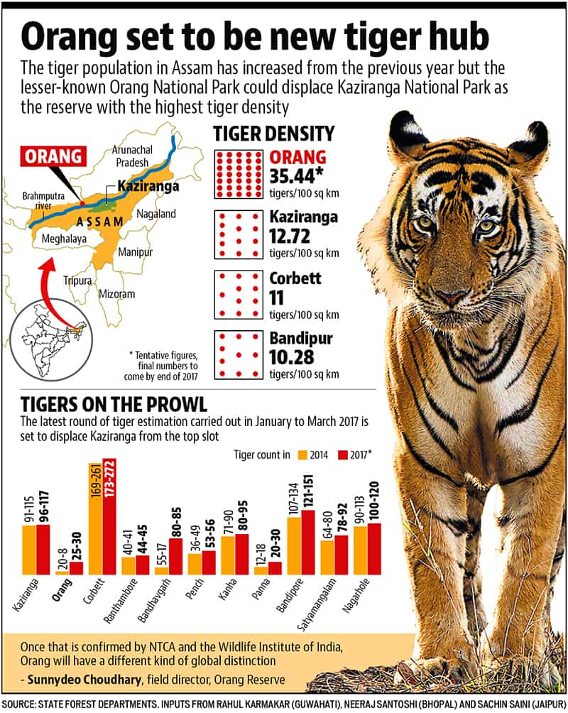 assam-s-orang-may-replace-kaziranga-as-park-with-highest-tiger-density