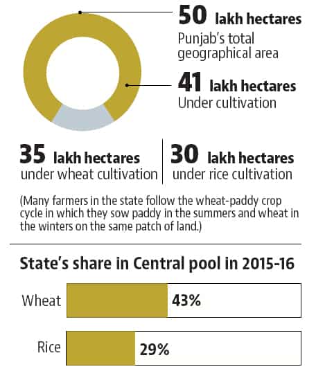 FARMER SUICIDES 
 
6,926 No. of suicides between 2000 and 2011* 
 
 
1,309 Farm suicides in seven districts between April 2013 and Dec 2016