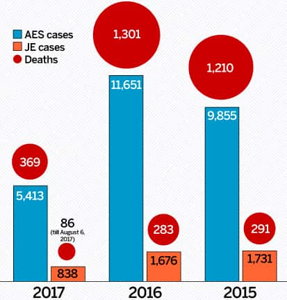 (Source: Ministry of Health and Family Welfare; data for 2017 till August 6, 2017.) (Source: Ministry of Health and Family Welfare; data for 2017 till August 6, 2017.)