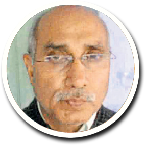 Article image Article image