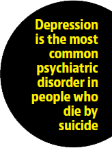 Article image Article image