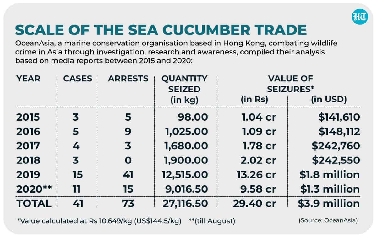 22 dead sea cucumbers worth ₹20 lakh seized in Lakshadweep Hindustan