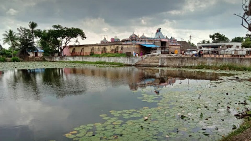 திருக்கொள்ளிக்காடு பொங்கு சனீஸ்வரர் கோயில்!-highlights of thirukkollikadu  pongu saneeswaran temple - HT Tamil ,ஜோதிடம் செய்திகள்