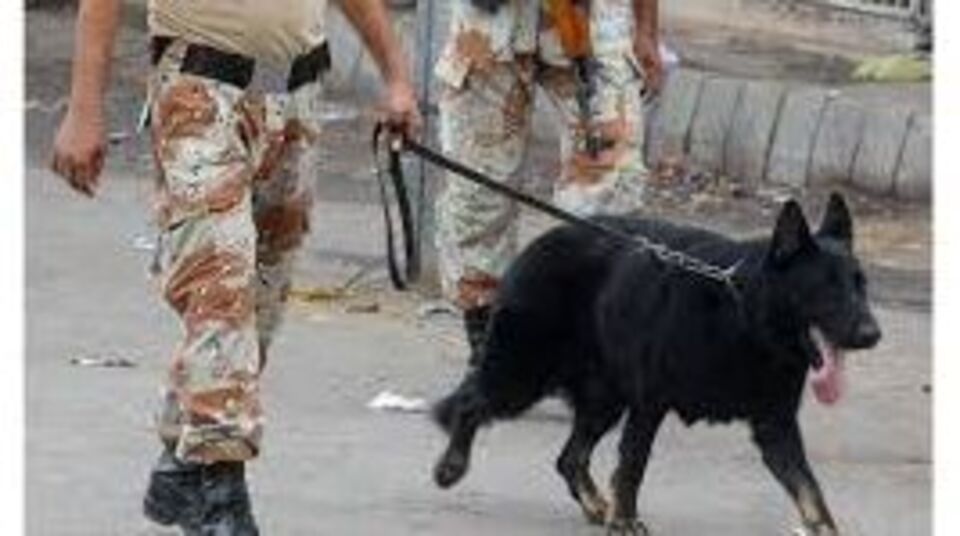 தாய், மகனை எரித்துக் கொன்றவர்களை காட்டிக் கொடுத்த மோப்ப நாய்police