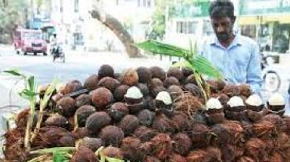 benefits of coconut flower தேங்காய் பூவின் அற்புதமான மருத்துவ குணங்கள்benefits of coconut