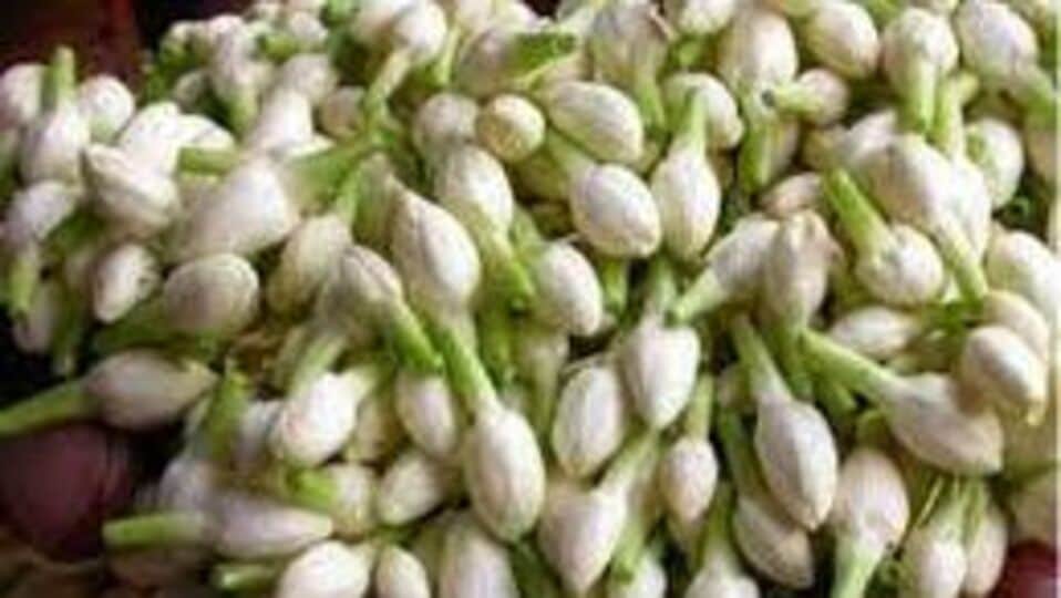 Theni flowers Rate தேனியில் மல்லிகைப்பூ கிலோ ரூ.2,500க்கு விற்பனை