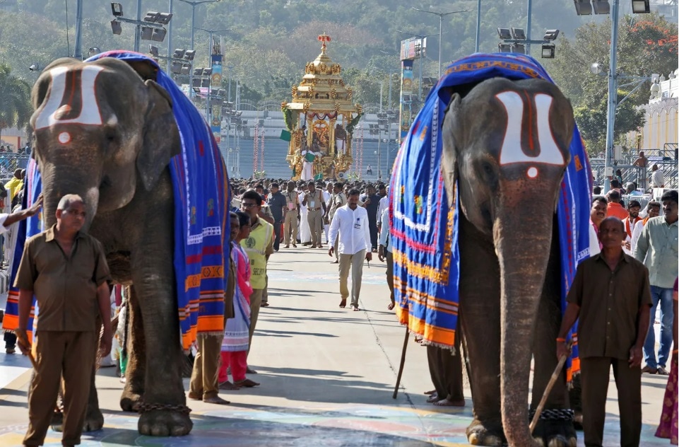 தங்க ரத உலாவின்போது கோயில் யானைகள் அழகிய நாமம் சூடி வலம் வந்தன.