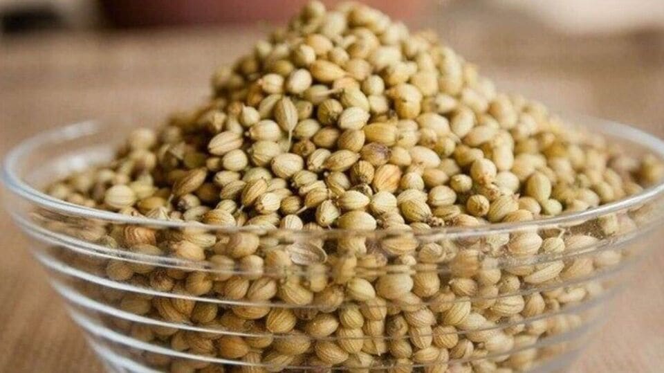 Coriander Seed Benefitபெண்களின் தைராய்டு, மாதவிலக்கு பிரச்னையை