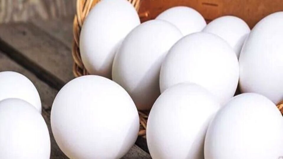 Egg Price : முட்டை கொள்முதல் விலை குறைந்தது - இன்று முதல் அமல்!
