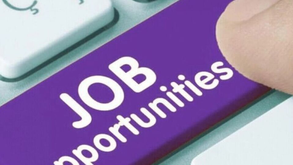 எல்ஐசியில் உதவி நிர்வாக அலுவலர் வேலை – விண்ணப்பிக்க என்ன தகுதி?