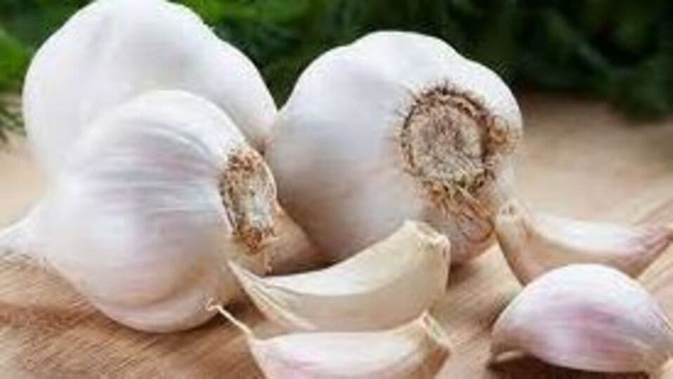Benefits Of Garlic வெள்ளைப் பூண்டின் ஆச்சரியமூட்டும் ஆரோக்கிய நன்மைகள்
