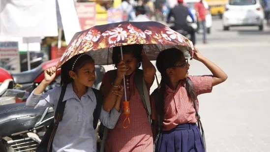 ஆண்டுகள் நகர நகர பலவிதமான குடைகள், பல்வேறு வடிவங்களில் அவரவர் விருப்பத்திற்கு ஏற்ற வகையில் நடைமுறைக்கு வந்துவிட்டது.