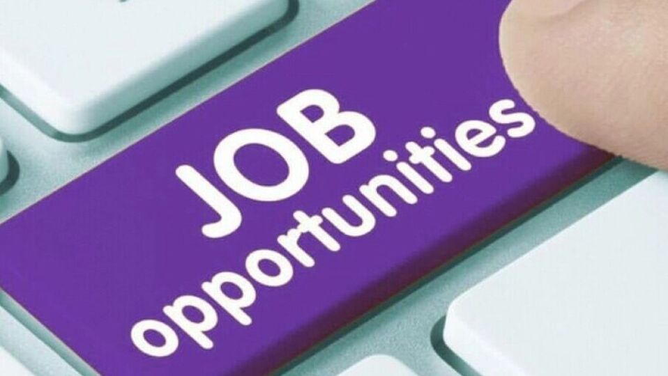 Job opportunity: வனத்துறையில் பணி – விண்ணப்பிக்க அழைப்பு