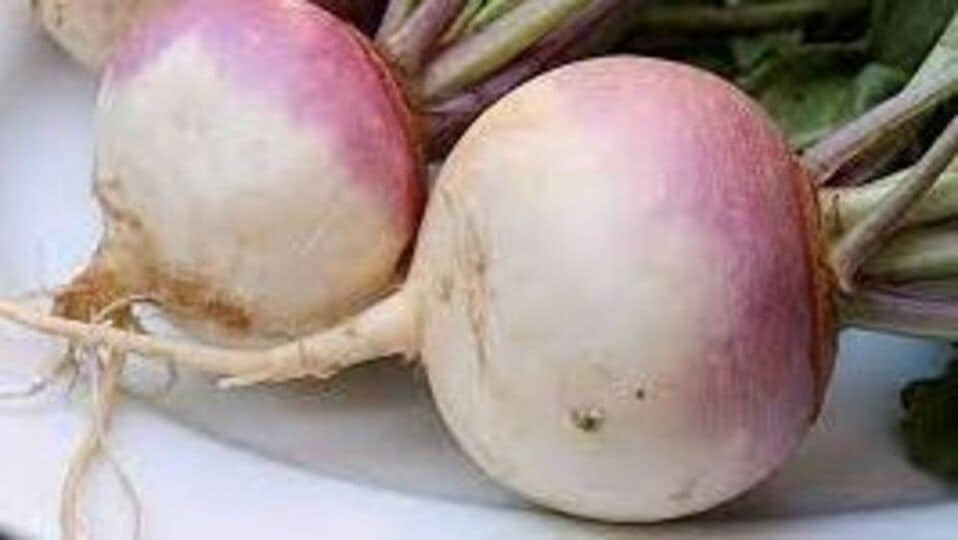 டர்னிப் உடலுக்கு தரும் ஆரோக்கியம்benefits of turnip HT Tamil