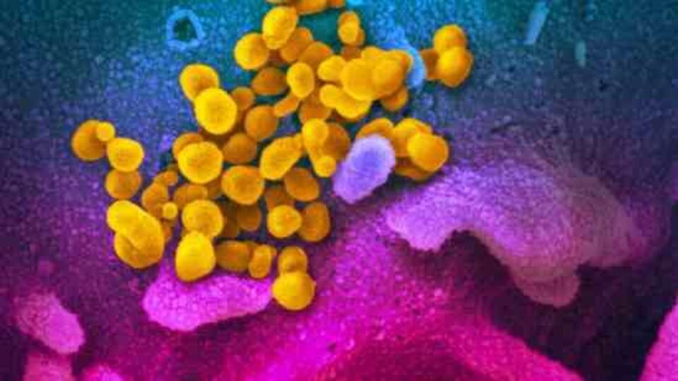 Corona Virus: கொரோனா பாதிப்பு எண்ணிக்கை அதிகரிப்பு!