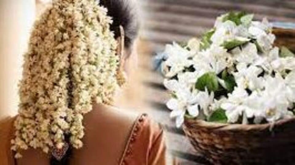 மணத்தால் மயக்கும் மல்லிகைப் பூவின் மகத்தான பல மருத்துவப் பயன்கள்!