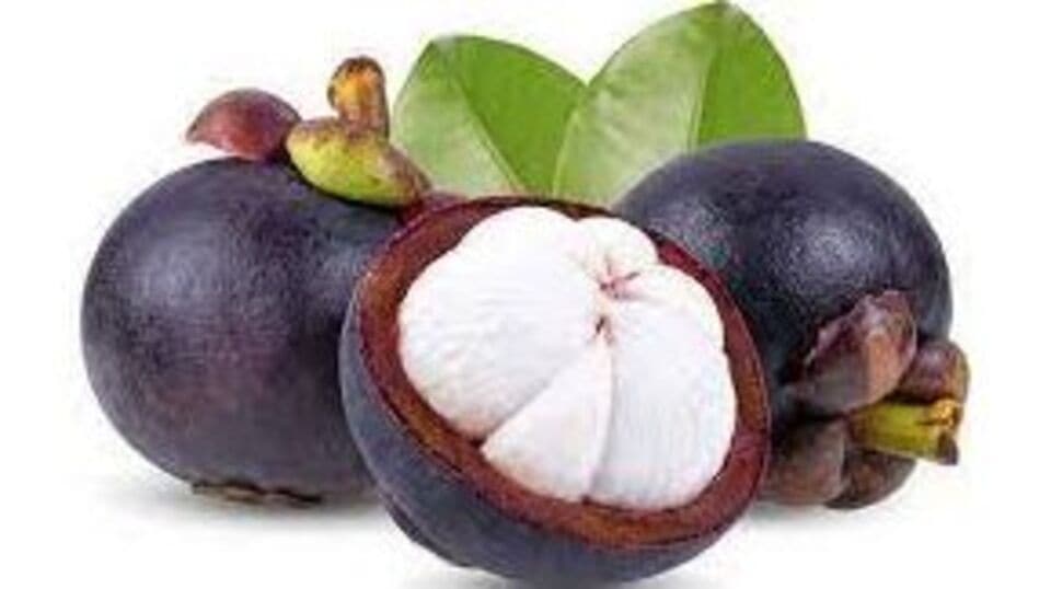 குற்றாலம் போனா மங்குஸ்தான் பழம் மறக்காம சாப்டுங்க... கொட்டி கிடக்குது சத்து!health benefits of