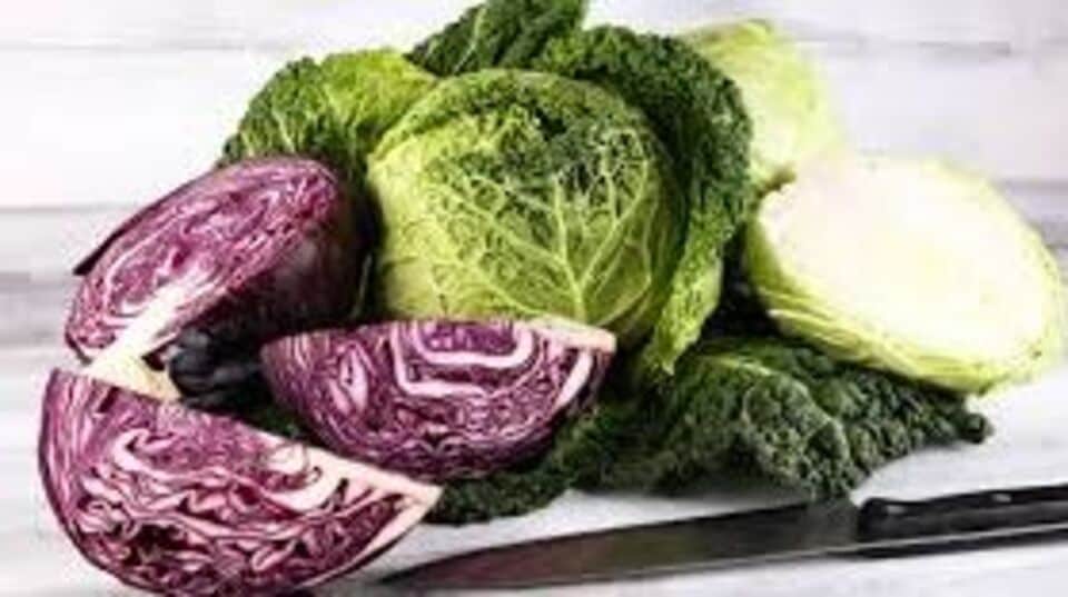 அல்சர், மலச்சிக்கல், புற்றுநோயைத் தடுத்து ஆரோக்கிய நன்மைகளைத் தரும் முட்டைக்கோஸ்healthy