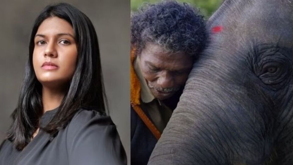 ஆஸ்கர் வென்ற தி எலிபன்ட் விஸ்பரர்ஸ் குறித்து என்ன இயக்குனர் சொல்கிறார்?