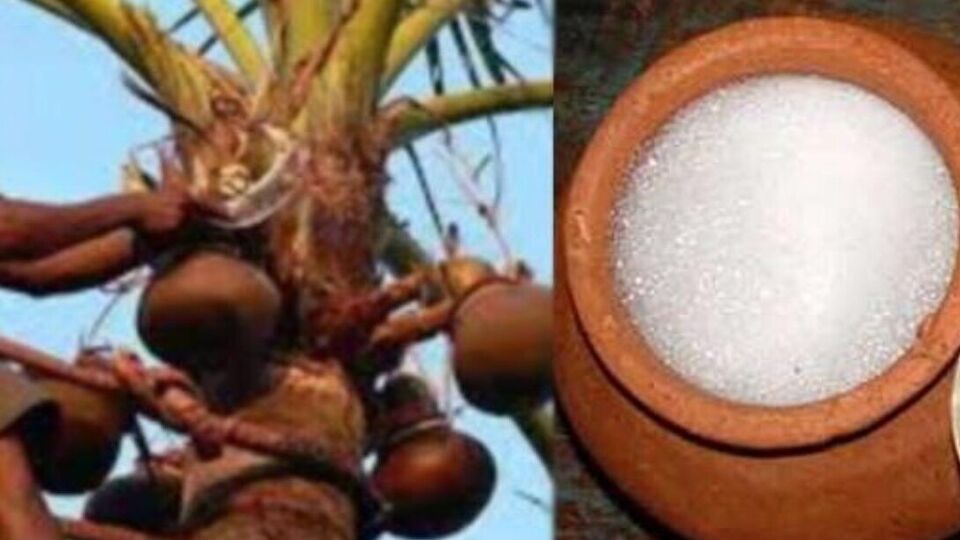 கள்ளை கீழே கொட்டி, விற்றவர்களை விரட்டியடித்து… பழனி அருகே போலீசார் அதிரடி