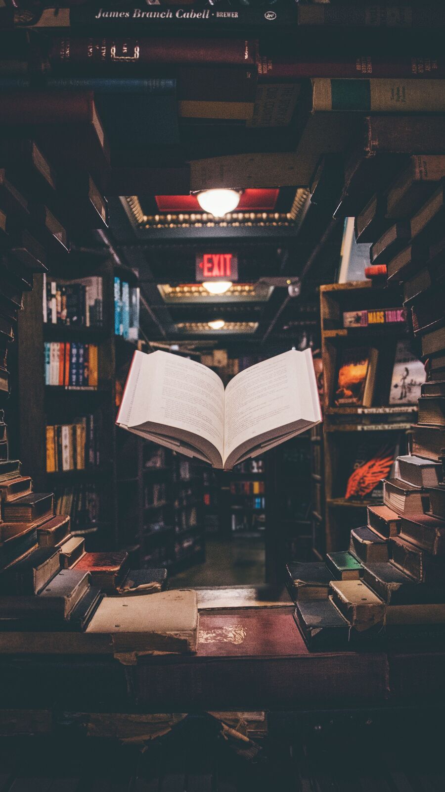 சிந்தனையை செழுமையாக்கும் மந்திரம் வாசிப்பு!