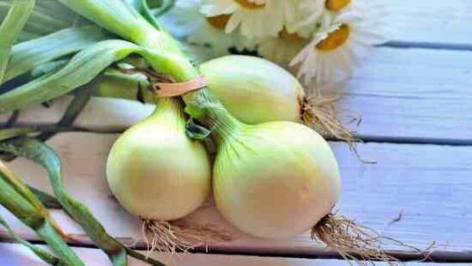 Benefits Of White Onions வெள்ளை வெங்காயம் சாப்பிடுவது உடலுக்கு