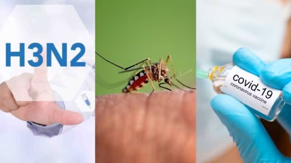 திடீர் காய்ச்சலா? ஃப்ளுவா? மலேரியாவா? கொரேனாவா? குழப்பம் வேண்டாம்! விளக்கங்கள் உள்ளே!