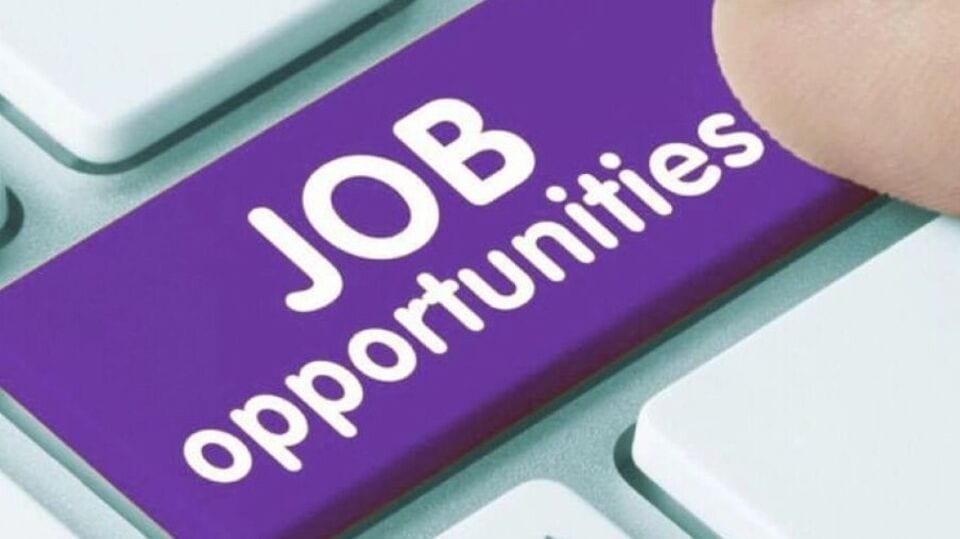 Job Opportunities : தனியார் துறை வேலைவாய்ப்பு முகாம் - எங்கு? எப்போது? - விவரங்கள் உள்ளே