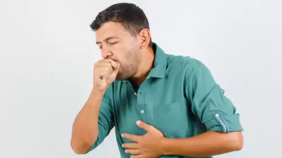 Breathing Problems: ஆஸ்துமா; சுவாச பிரச்சனைகளை தடுக்க இந்த உணவுகளை சாப்பிடுங்க!