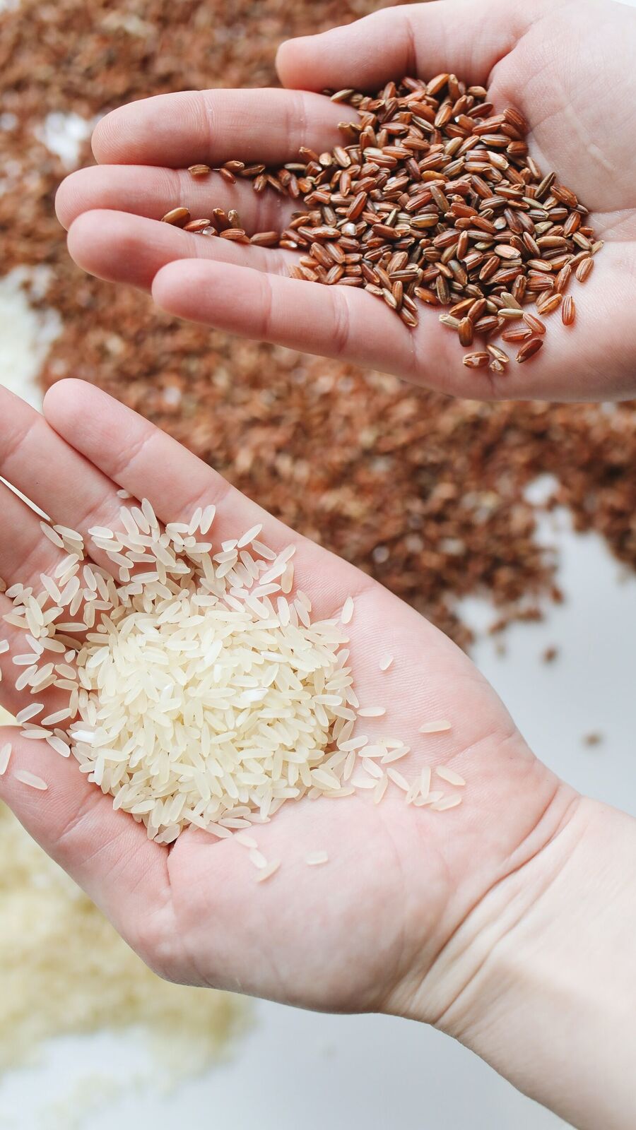 Eating Raw Rice: வெறும் அரிசி சாப்பிடும் பழக்கம் இருக்கா? அப்போ கண்டிப்பா நீங்க இத படிங்க!