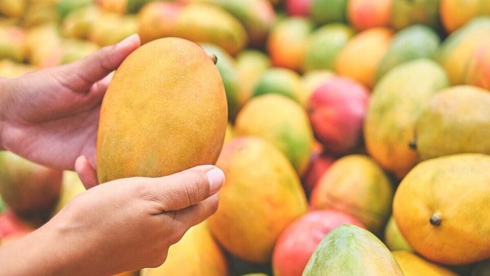 Mango மாம்பழம் சாப்பிட்டால் பருக்கள் ஏன் வருகிறது தெரியுமா? அதை எப்படி