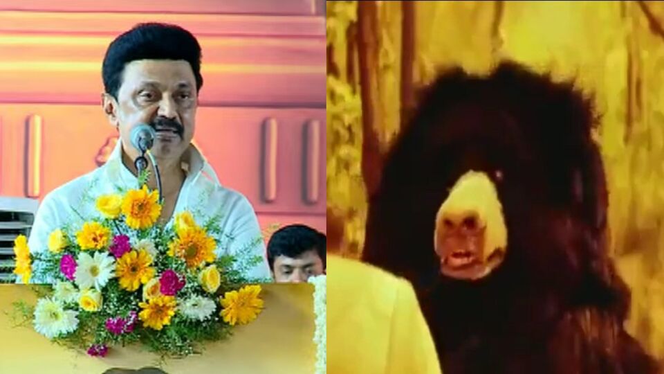 MK Stalin: சேலத்தில் முதல்வர் சொன்ன கரடி கதை! அதிமுக, பாஜகவை கடுப்பேற்றிய ஸ்டாலின்!