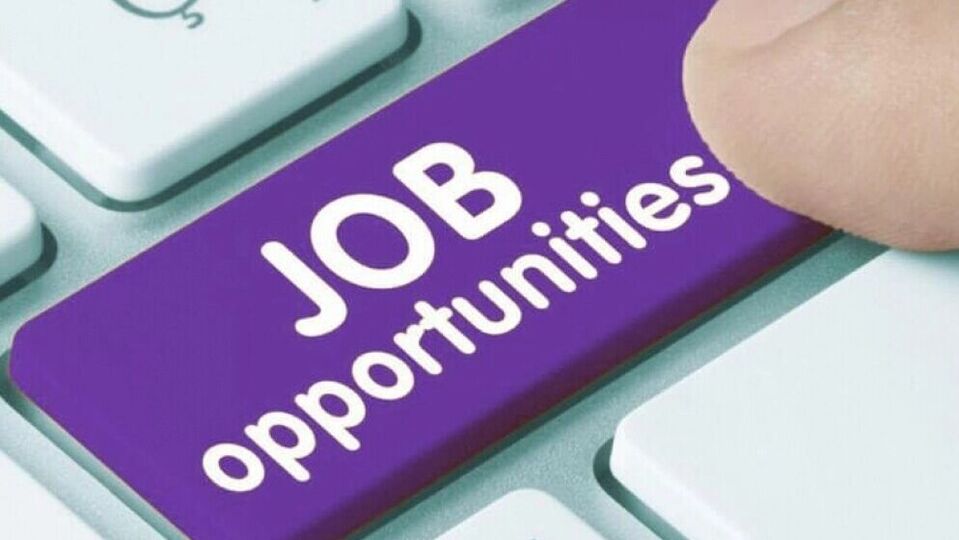 Job Alert : தமிழ்நாடு ஆசிரியர் தேர்வு வாரியத்தில் பணி; இந்திரகாந்தி அணு ஆராய்ச்சி மையத்தில் வேலை – மேலும் சில தகவல்கள்!