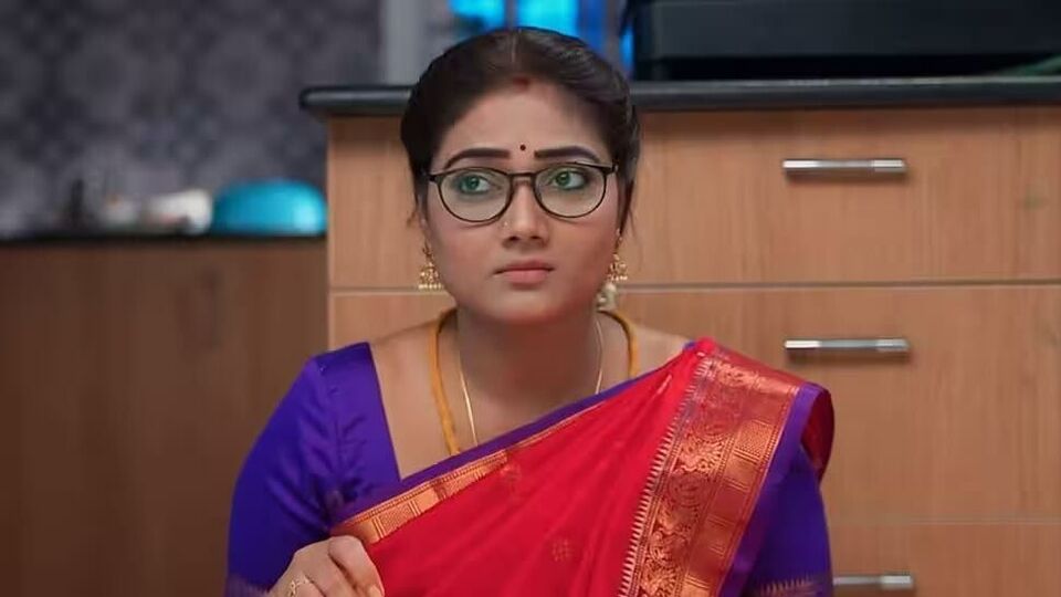 Seetha Raman: புதிய சீதாவாக நடிக்க போவது யார்?