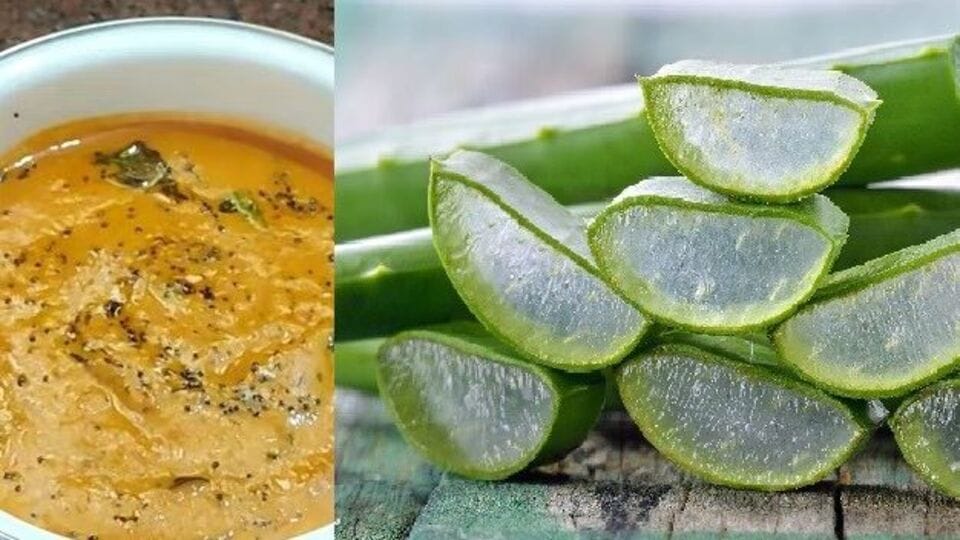 Aloe Vera Chutney கற்றாழை சட்னி.. கேட்க ஒரு மாதிரி தான் இருக்கும்