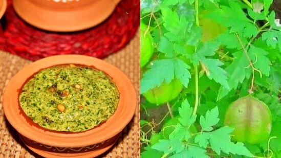 Mudakathan Keerai Chutney: முடக்கத்தான் கீரை சட்னி எப்படி செய்வது என்பது குறித்து இங்கே தெரிந்து கொள்ளலாம்.