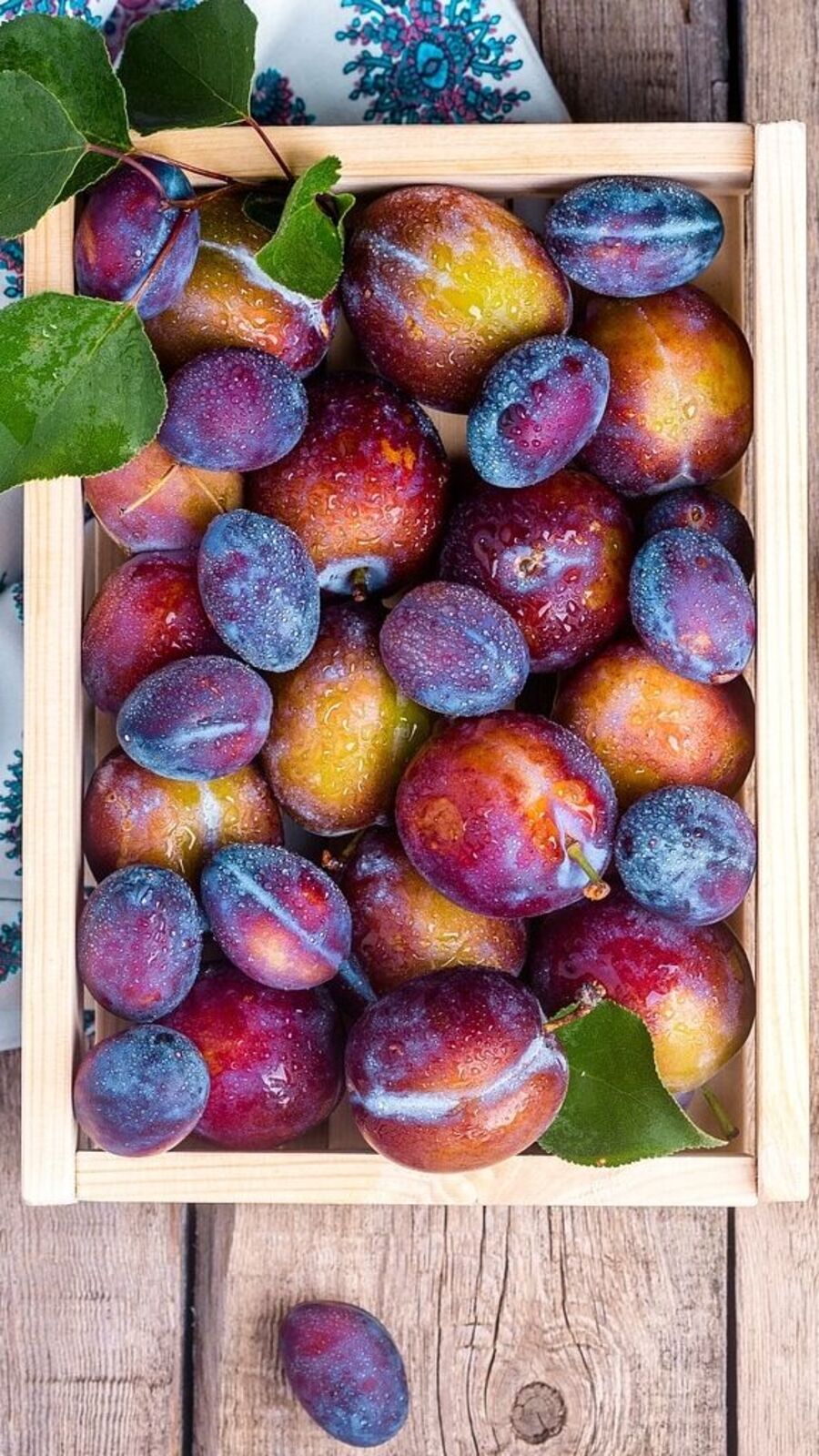 Benefits Of Plums: பிளம்ஸ் பழம் சாப்பிட்டால் இத்தனை பாதுகாப்பா? புள்ளி தரவுகள் இதோ!