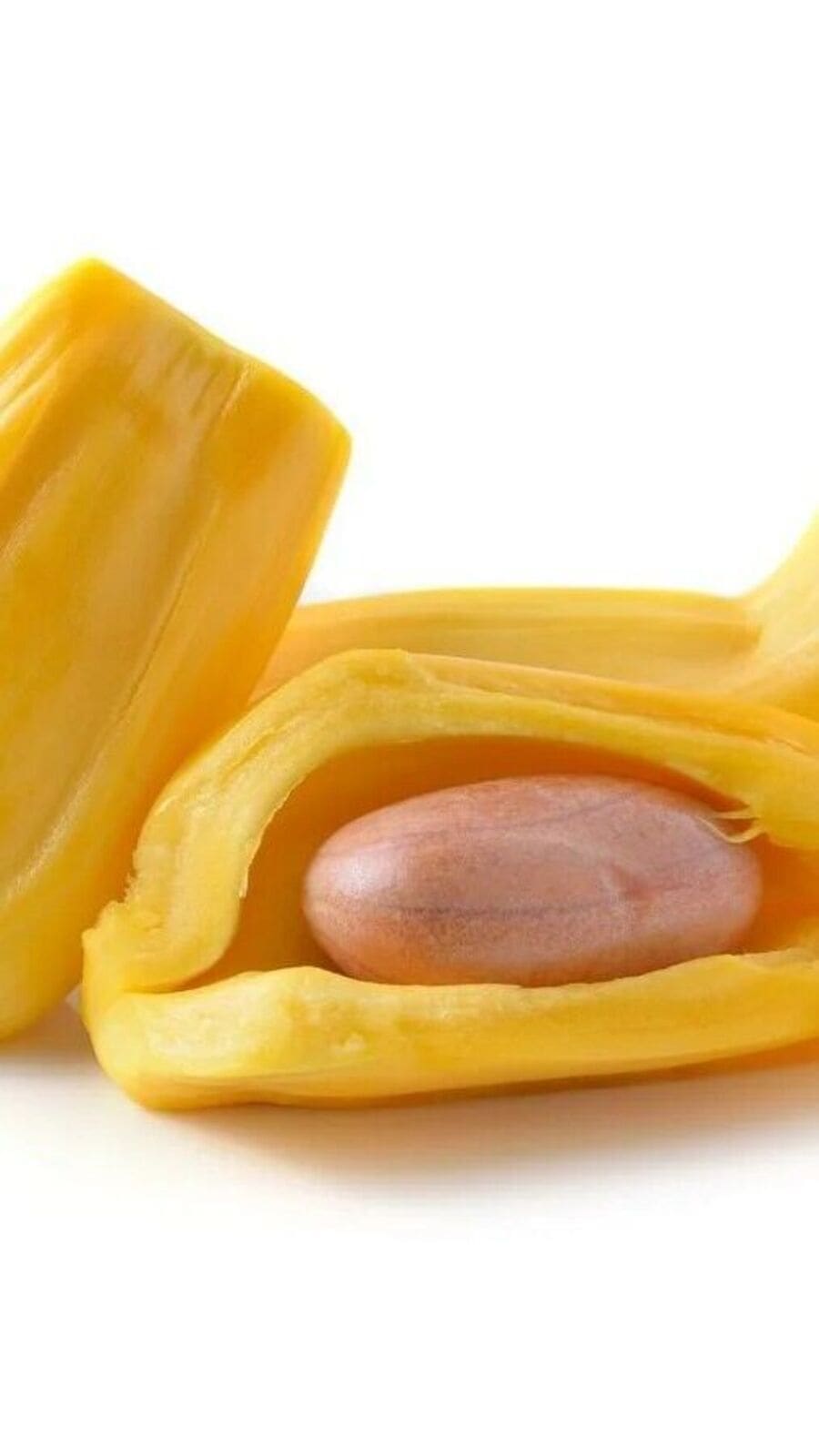 Jack Fruit: பலாப்பழ விதைகளில் மறைந்து இருக்கும் ஆரோக்கிய நன்மைகள்