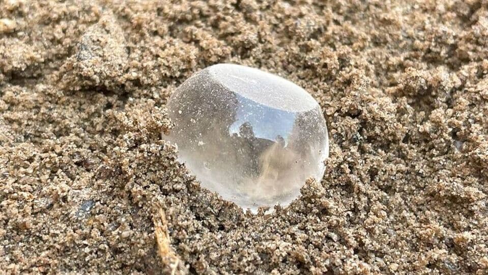 Keeladi Excavations: கீழடி அகழாய்வில் பழங்கால எடை கல் கண்டெடுப்பு