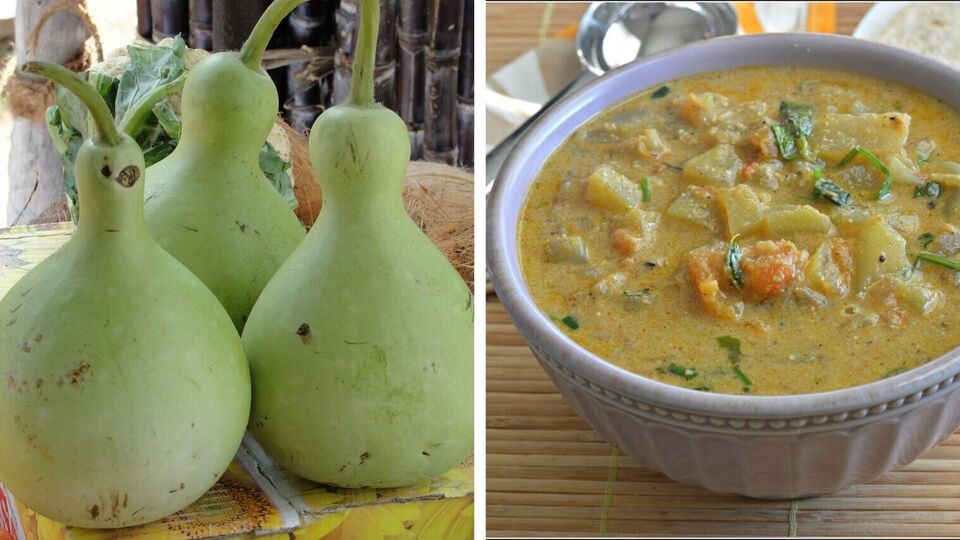 Suraikai Chettinadu Kuruma : சுடச்சுட சாதத்துக்கு ஏற்றது; சுரைக்காய் செட்டிநாடு வெள்ளை குருமா செய்வது எப்படி?