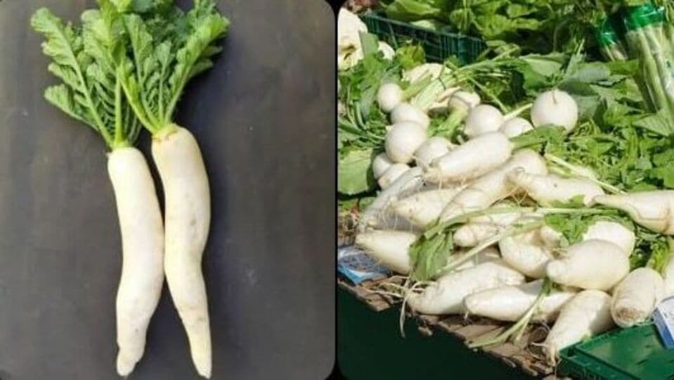 Radish Benefits இனி தினமும் வீட்டில் முள்ளங்கி சாம்பார்தான் 100