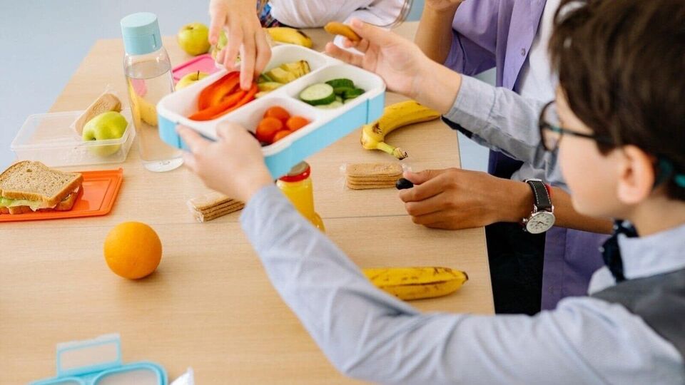 Plastic Tiffin Box: ஜாக்கிரதை! உங்கள் குழந்தைகளுக்கு பிளாஸ்டிக் டிபன் பாக்ஸ் கொடுக்குறீங்களா!