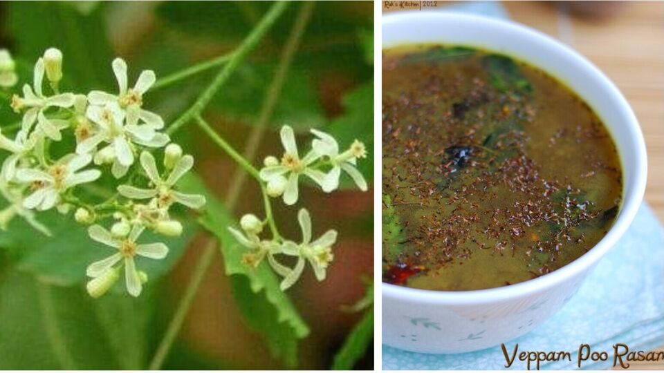 Vepampoo Rasam : மழைக்காலத்தில் நோய் எதிர்ப்பு சக்தி அதிகரிக்க வேப்பம் பூ ரசம்! இப்படி செஞ்சு பாருங்க!