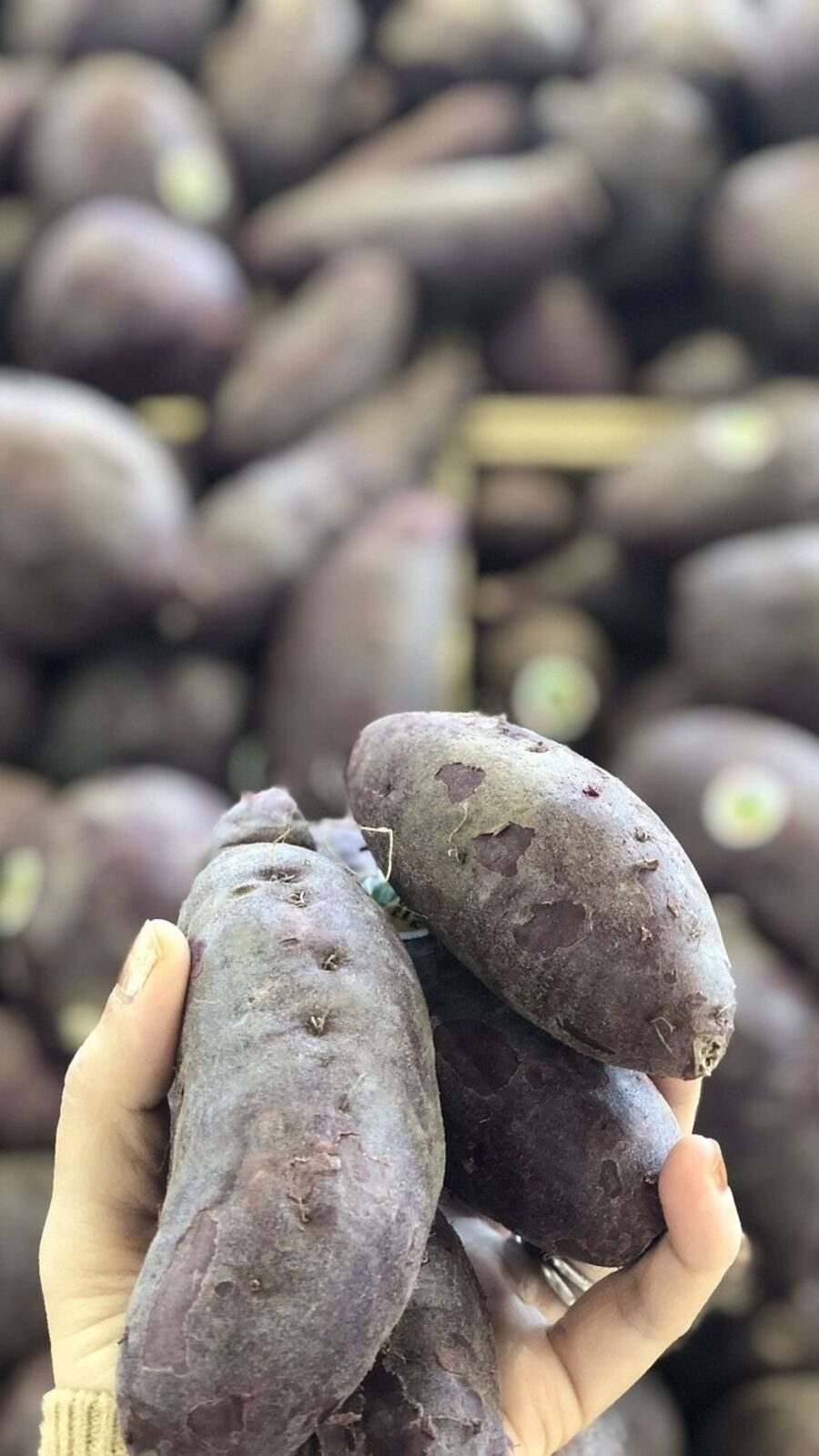 Yam Benefits : எடை இழப்புக்கு உதவும் சேனைக்கிழங்கு..  ஏராளமான மருத்துவ பண்புகள் இருக்கு!